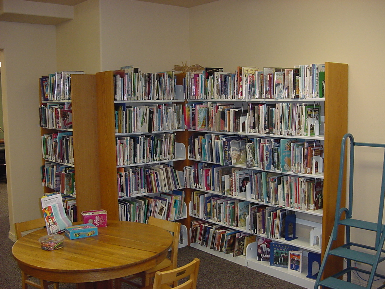 Childrens Non-Fiction Book Area!