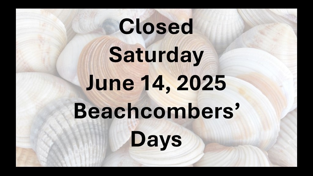 Closed Beachcombers Cropped.jpg